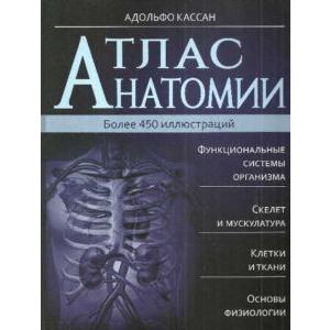 Фото книги Атлас анатомии. www.made-art.com.ua