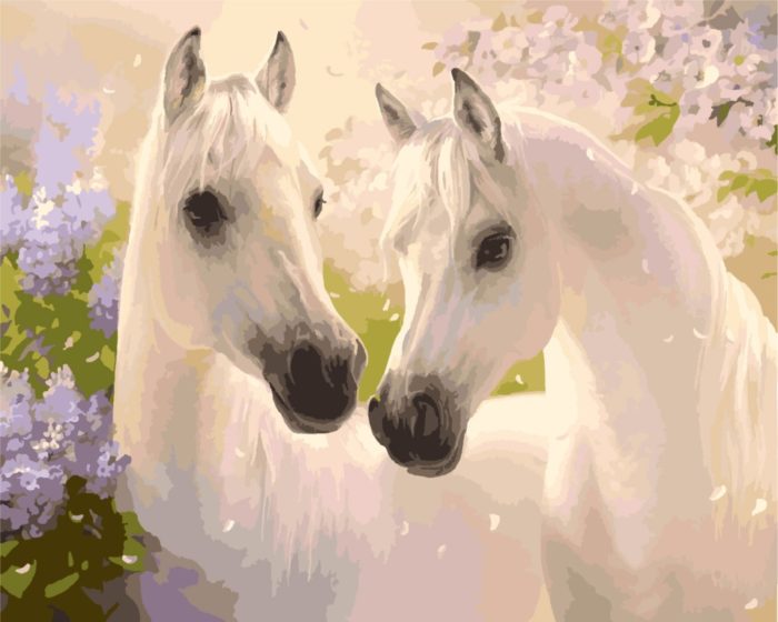 Фото картины, купить картину по номерам, Белые лошади KH2433. www.made-art.com.ua