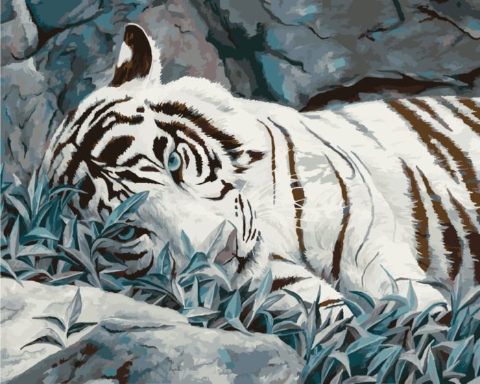 Фото картины, купить картину по номерам, Белый тигр KH2453. www.made-art.com.ua