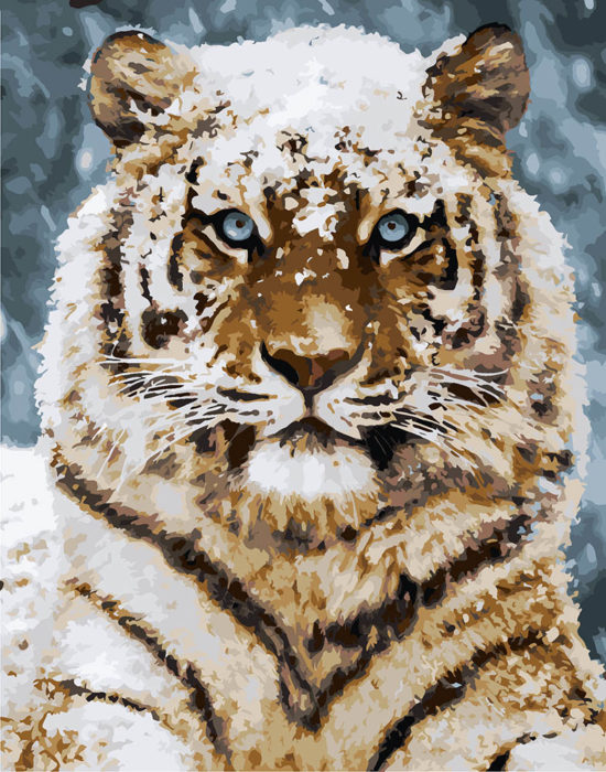 Фото картины, купить картину по номерам, Усурийский тигр KHO4140. www.made-art.com.ua