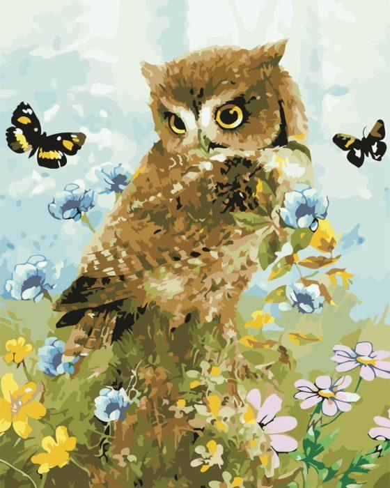Фото картины, купить картину по номерам, Совенок и бабочки AS0656. www.made-art.com.ua