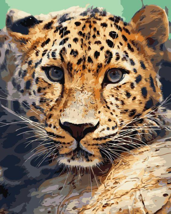 Фото картины, купить картину по номерам, Взгляд леопарда AS0739. www.made-art.com.ua