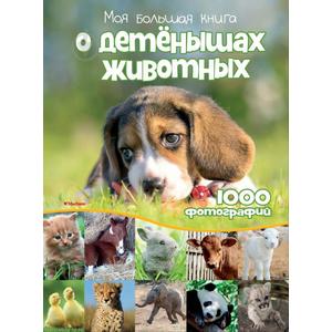 Фото книги Моя большая книга о детенышах животных. 1000 фотографий. www.made-art.com.ua