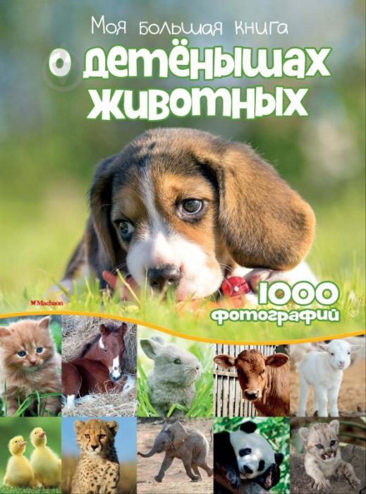 Фото книги, купить книгу, Моя большая книга о детенышах животных. 1000 фотографий. www.made-art.com.ua