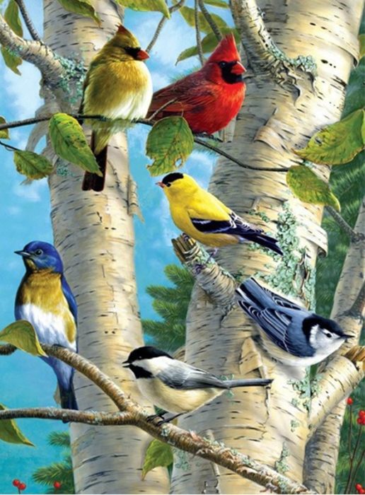 Фото картины, купить картину по номерам, Птахи на дереві. www.made-art.com.ua